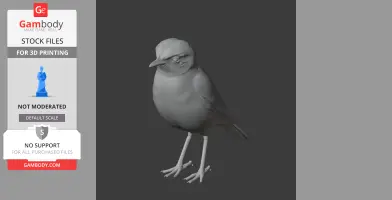 A 3D model of a small bird with a slightly tilted head and textured feathers.