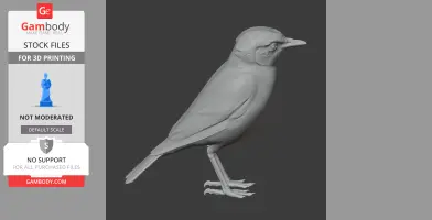 3D model of a bird standing upright, detailed with feather texture, suitable for 3D printing.