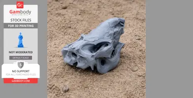 3D printed Coelodonta skull replica resting on sandy ground.