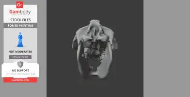 3D model of a Coelodonta skull, ready for printing, displayed from the front on a gray background.