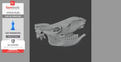 3D model of a Coelodonta skull replica, side view, for 3D printing.