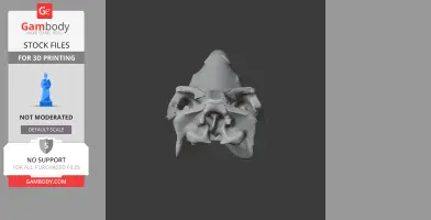 Gray 3D model of a Coelodonta (woolly rhinoceros) skull viewed from the front.