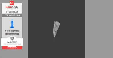 A 3D model of an Antarctic petrel in flight, designed for 3D printing, viewed from the side.