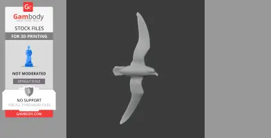 3D model of an Antarctic petrel in flight, viewed from the side.