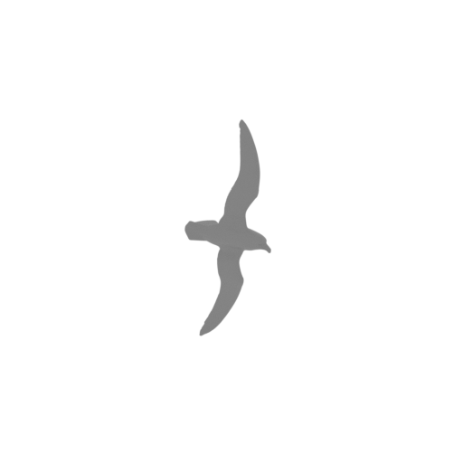 Antarctic petrel.stl