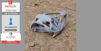 3D printed Coloborhynchus skull replica resting on sandy ground.