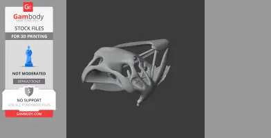 3D model of a Coloborhynchus skull with intricate details, designed for 3D printing.