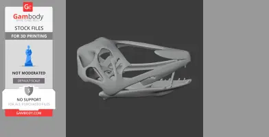 3D model of a detailed Coloborhynchus skull for 3D printing, side view.