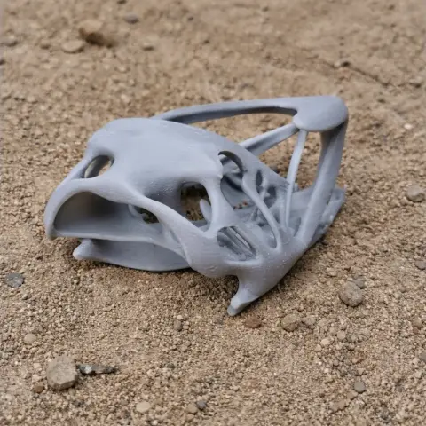 3D printed Coloborhynchus skull replica resting on a sandy surface.