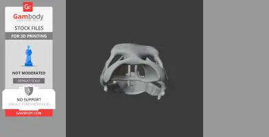 3D model of a Coloborhynchus skull, showing intricate bone structure for 3D printing.