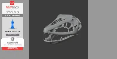 3D model of a Coloborhynchus skull, showcasing detailed bone structure, suitable for 3D printing.