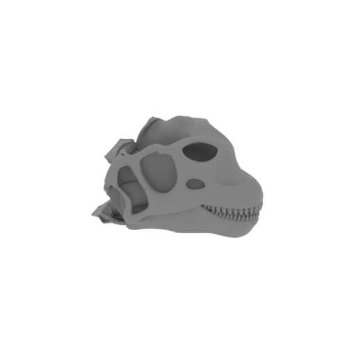 Arctosaurus Skull.stl