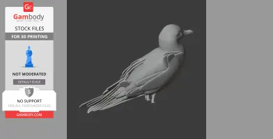 Andean gull - Prehistoric Animal STL