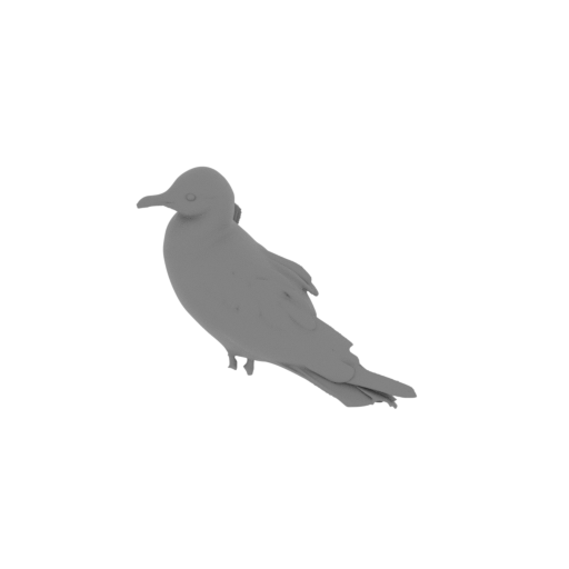 Andean gull.stl