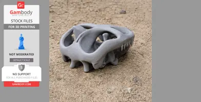 3D-printed Cionodon skull replica on sandy ground, showcasing detailed bone structure and teeth.