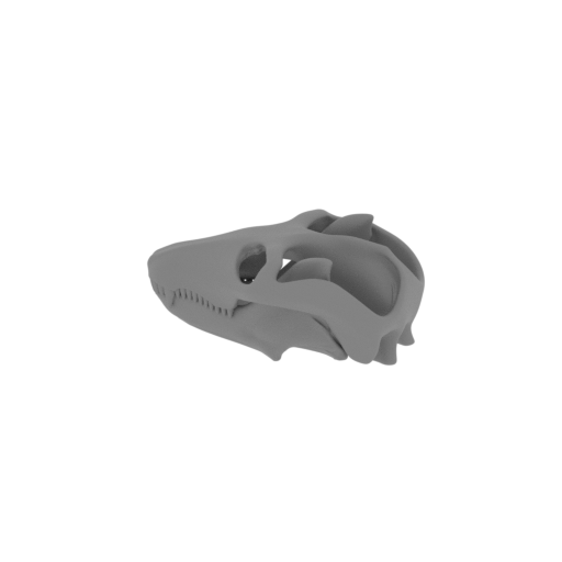 Cionodon Skull.stl