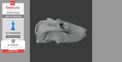 3D model of a Cionodon dinosaur skull, showing detailed bone structure and teeth, ready for 3D printing.