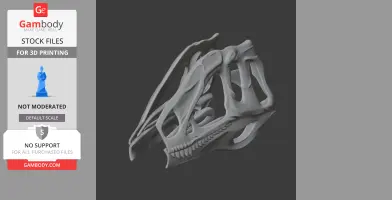 Concavenator Skull - Skull Replica STL