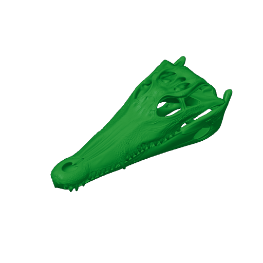 Crocodilia Skull.3mf