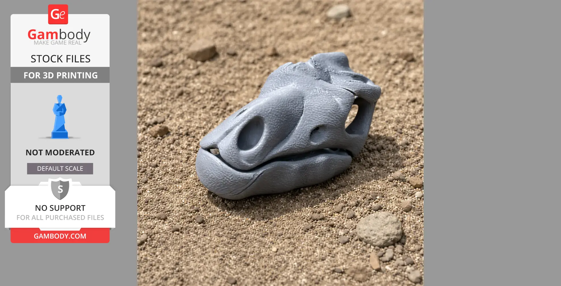 Gray 3D-printed Cryptodraco skull replica resting on sandy ground.