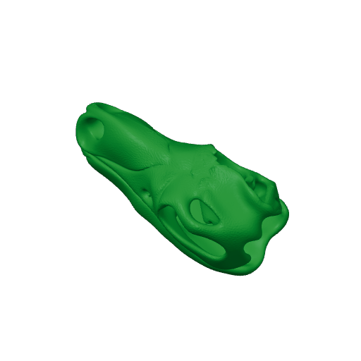 Cryptodraco Skull.3mf