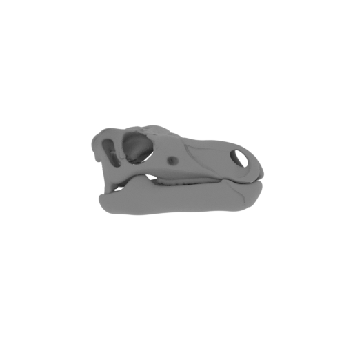 Cryptodraco Skull.stl