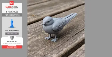 Antarctic tern - Prehistoric Animal STL