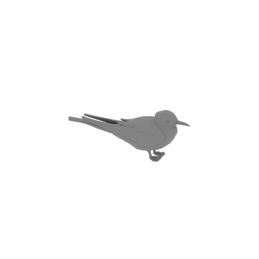Antarctic tern.stl