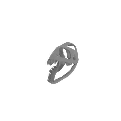 Cryptosaurus Skull.stl