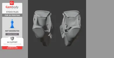 Ctenosauriscid Skull - Skull Replica STL