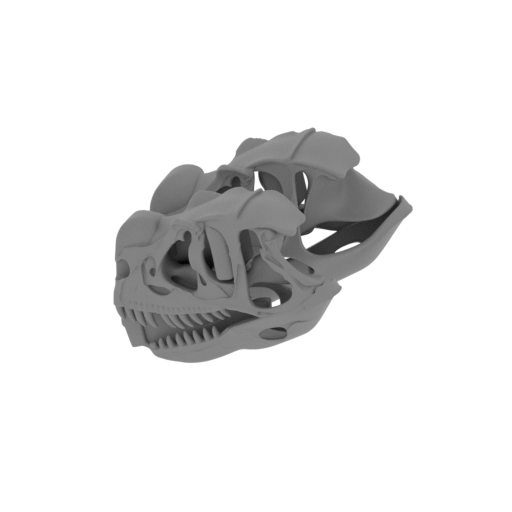 Ctenosauriscid Skull.stl