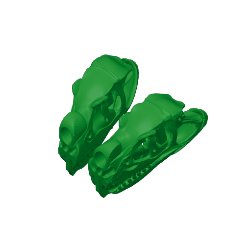 Ctenosauriscid Skull.3mf