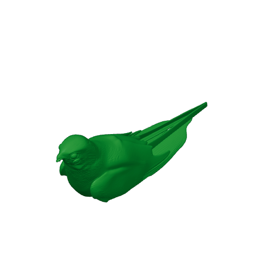 Antillean nighthawk.3mf
