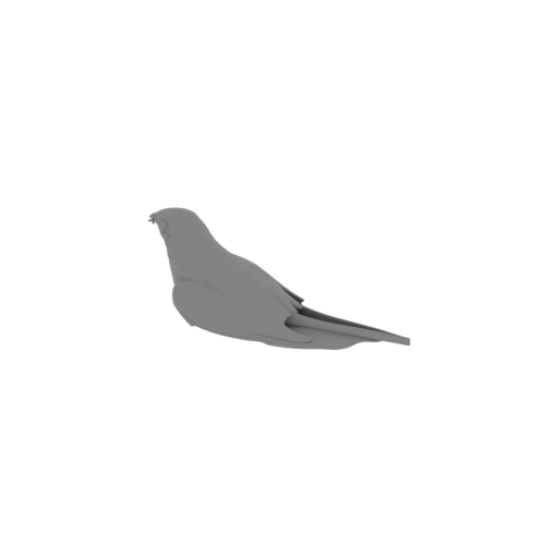 Antillean nighthawk.stl