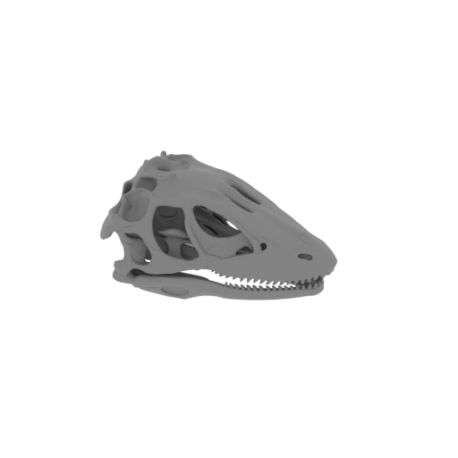 Deinodon Skull.stl