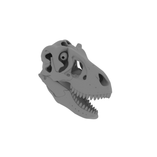 Denversaurus Skull.stl