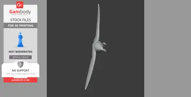 Antillean palm swift - Prehistoric Animal STL