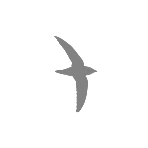 Antillean palm swift.stl
