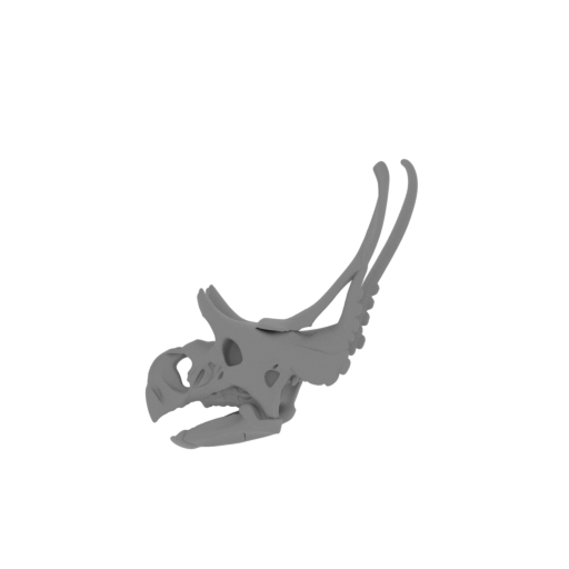 Diabloceratops Skull.stl