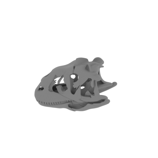 Dianchungosaurus Skull.stl