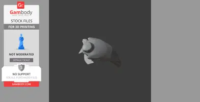 A 3D model of a prehistoric bird's head, viewed from above, designed for 3D printing.