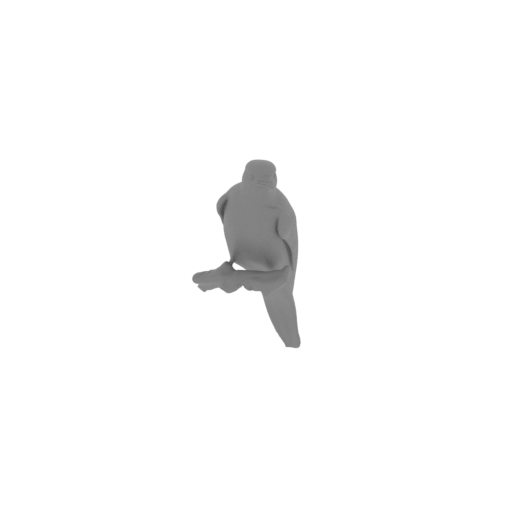 Antillean piculet.stl