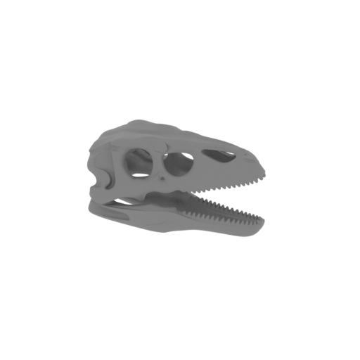 Dinheirosaurus Skull.stl