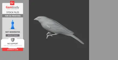 Antillean siskin - Prehistoric Animal STL