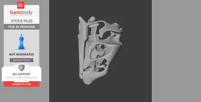 Dinosauromorphs Skull - Skull Replica STL