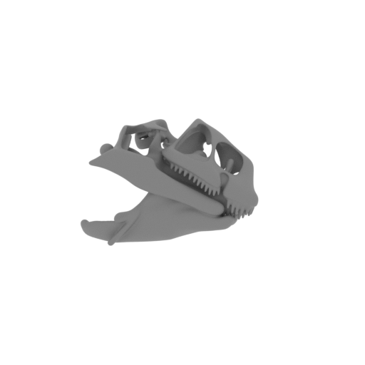 Dinosauromorphs Skull.stl