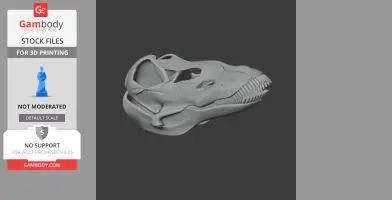Galeamopus Skull - Skull Replica STL