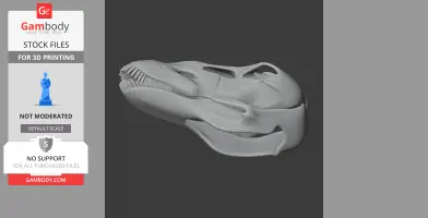 Galeamopus Skull - Skull Replica STL