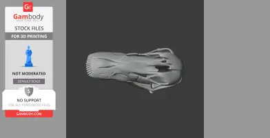 Galeamopus Skull - Skull Replica STL