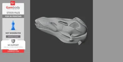 Galeamopus Skull - Skull Replica STL